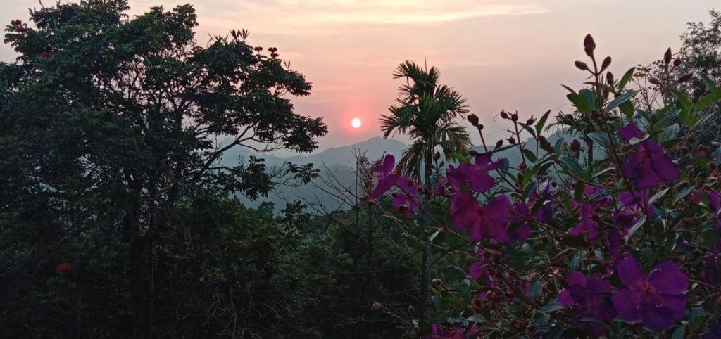 Munnar Tent Hills Resort Devikolam Zewnętrze zdjęcie