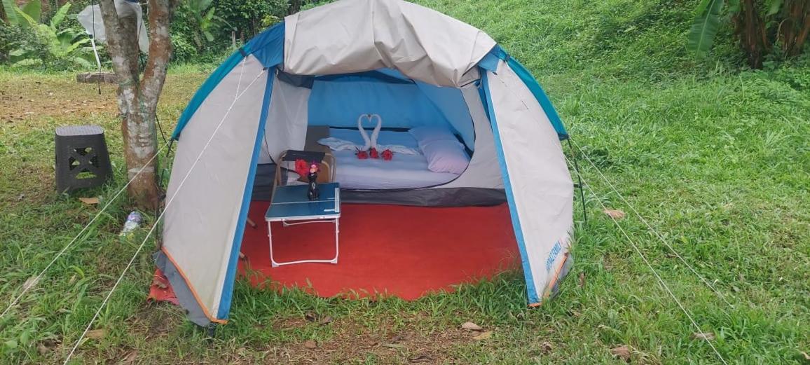 Munnar Tent Hills Resort Devikolam Zewnętrze zdjęcie