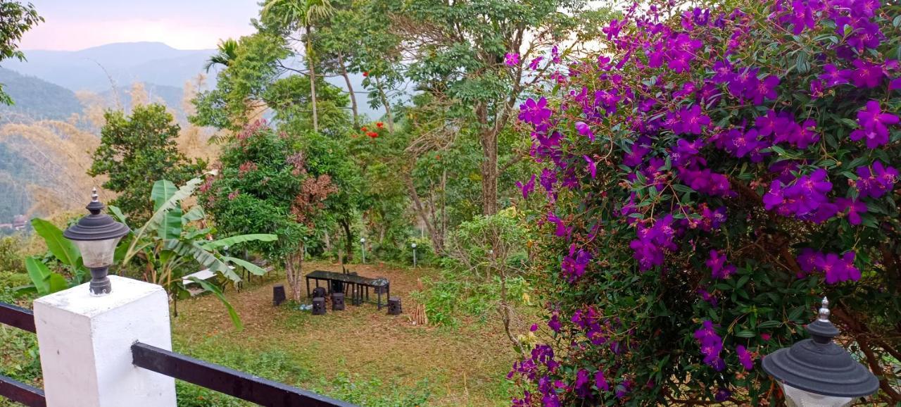 Munnar Tent Hills Resort Devikolam Zewnętrze zdjęcie
