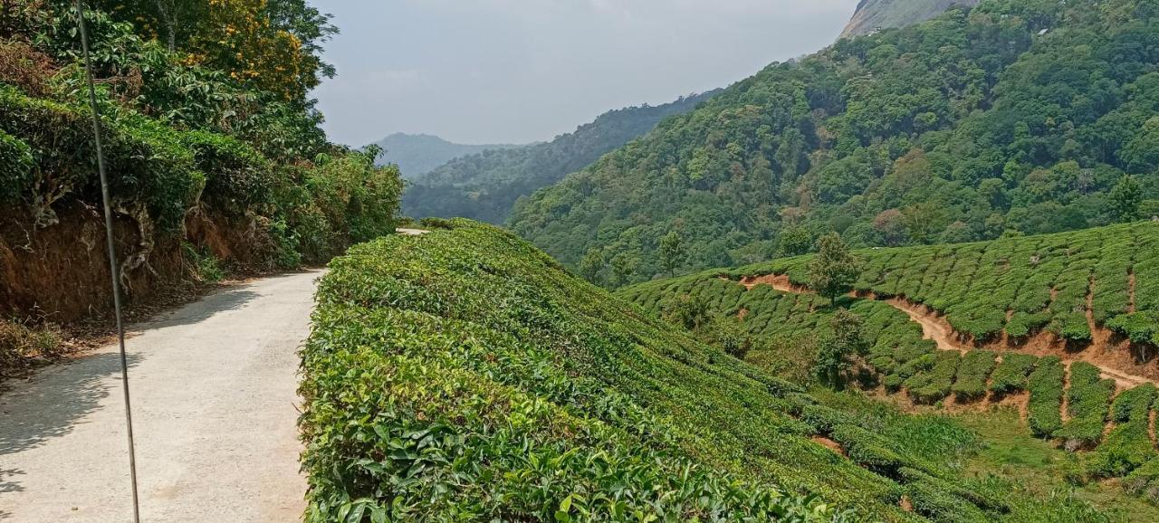 Munnar Tent Hills Resort Devikolam Zewnętrze zdjęcie