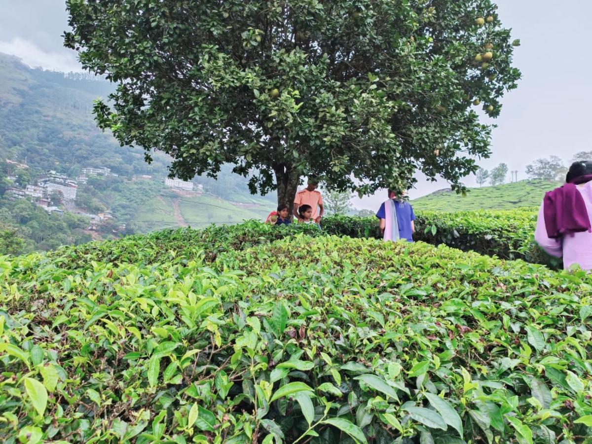 Munnar Tent Hills Resort Devikolam Zewnętrze zdjęcie